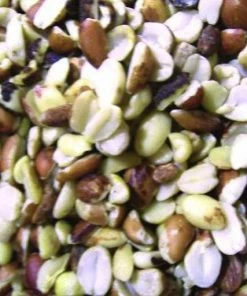 The Birdhouse Chick Shelled Peanuts-5 Pounds