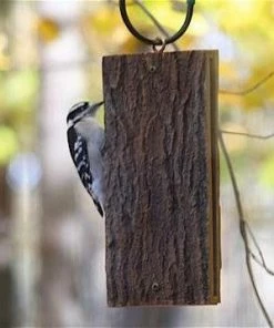 Birds Choice Suet Sandwich Bird Feeder Suet Feeders