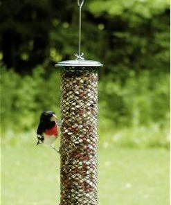 Birds Choice Shelled Peanut Feeder Peanut Feeders