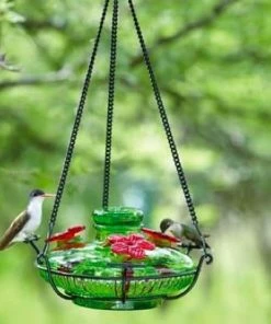 Parasol Hummingbird Feeders Bloom Perch Hummingbird Feeder- Aqua Or Green