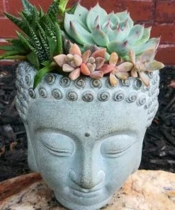 The Birdhouse Chick Buddha Head Planter Planters, Urns & Pots