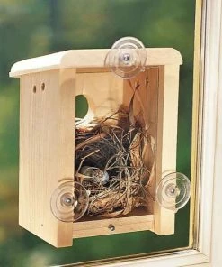 Coveside Conservation Unique Birdhouses Window View Birdhouse Kit