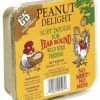 C&S No Melt Peanut Delight Suet Dough Specialty Foods & Mealworms