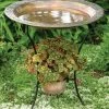Ancient Graffiti Staked & Pedestal Bird Baths Flamed Bird Bath With Planter