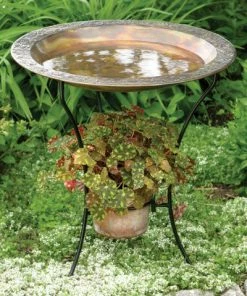 Ancient Graffiti Staked & Pedestal Bird Baths Flamed Bird Bath With Planter