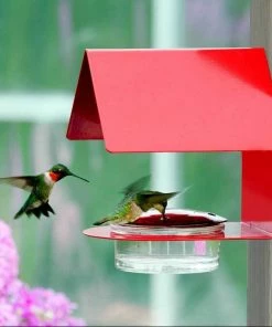 Couronne Hummingbird Feeders Cottage Hummingbird Feeder