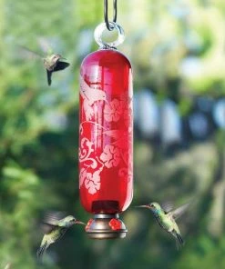 Parasol Red Filigree Hummingbird Feeder Hummingbird Feeders