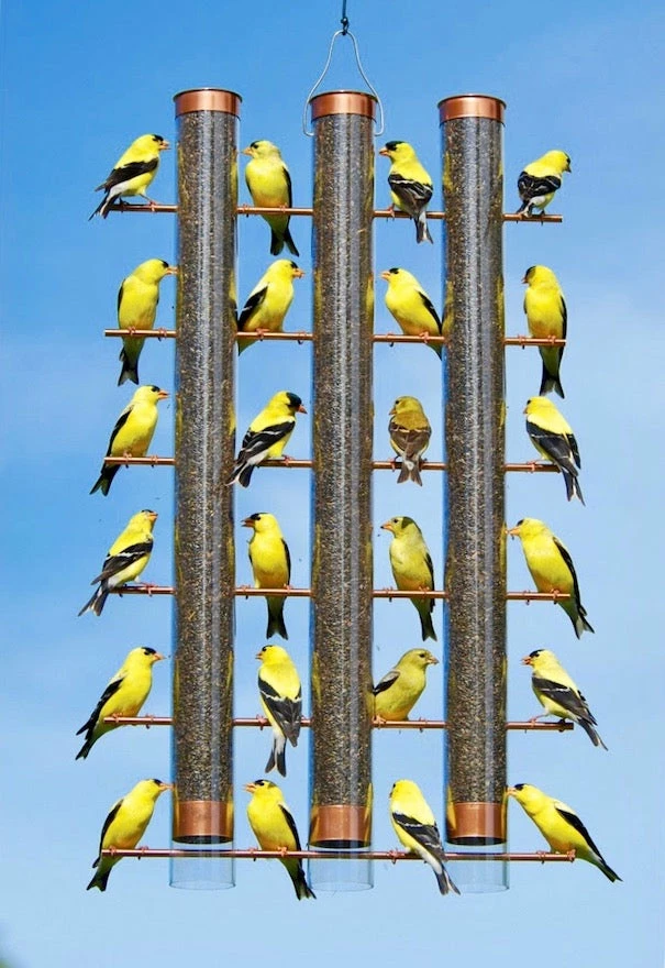 Songbird Essentials Thistle Feeders 3-Tube Copper Thistle Feeder