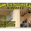 Birdhouse Spy Cam Hawk-Eye Wireless Spy Camera For Birdwatching