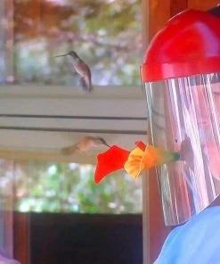 The Birdhouse Chick Humm-Viewer Ultimate Feeder Mask Hummingbird Feeders