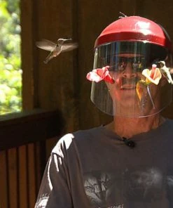 The Birdhouse Chick Humm-Viewer Ultimate Feeder Mask Hummingbird Feeders