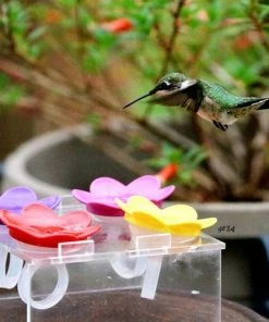 The Birdhouse Chick Hummer Ring Kit
