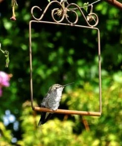 Hummingbird Feeders Pop's Hummingbird Swing
