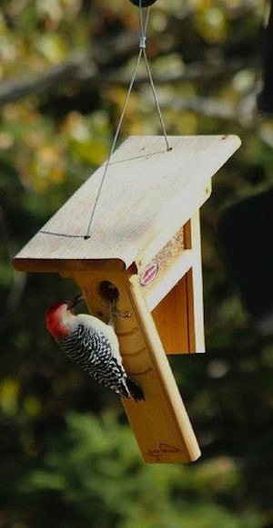 Kettle Moraine Clinger Woodpecker And Peanut Feeder