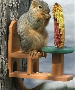 Songbird Essentials Table And Chair Squirrel Feeder - Recycled Plastic Recycled Birdhouses