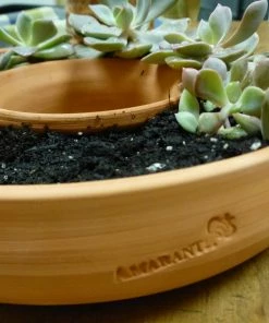 The Birdhouse Chick Living Wreath Planter