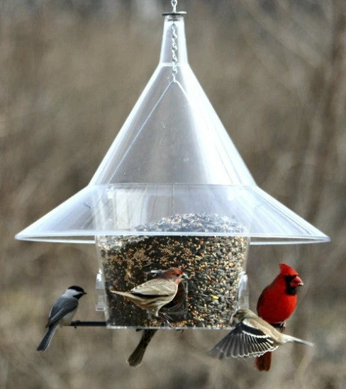Arundale Mandarin Sky Cafe Squirrel-Proof Feeders