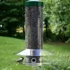 Birds Choice 20-Inch Classic Squirrel Proof Bird Feeder Squirrel-Proof Feeders