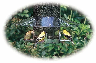 Birds Choice Weather Guard For Classic Bird Feeders Squirrel-Proof Feeders