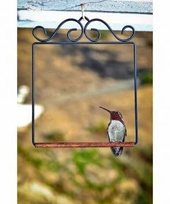 Hummingbird Feeders Pop's Hummingbird Swing