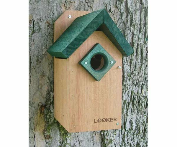Songbird Essentials Green Roof Bluebird House-NABS Approved