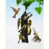 Songbird Essentials Finch Magic Thistle Sock Thistle Feeders