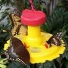 Songbird Essentials Butterfly Feeder With Nectar - Hang Or Pole Mount