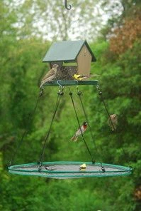 Songbird Essentials SeedHoop-Seed Catcher Adjustable Seed Tray 30-inch