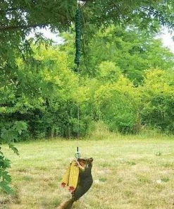 Songbird Essentials Bungee Cord Deluxe Squirrel Feeder Squirrel Feeders