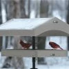 Birds Choice Recycled Pole Topper & Weather Guard