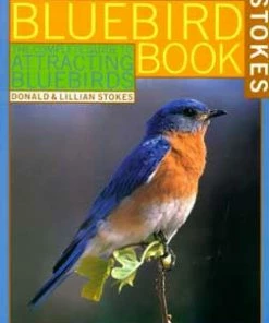 Stokes Complete Guide To Attracting Bluebirds