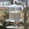 Songbird Essentials Songbird All-Weather Feeder 4 Or 6 Qt. Unique Bird Feeders