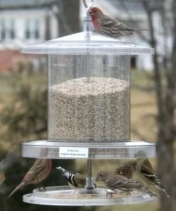 Songbird Essentials Songbird All-Weather Feeder 4 Or 6 Qt. Unique Bird Feeders
