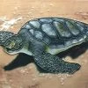 TileCraft Plaques, Stepping Stones & Wall Decor Sea Turtle Ceramic Tile
