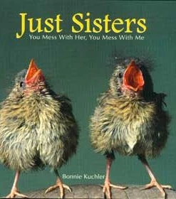 Willow Creek Press Just Sisters Gift Book
