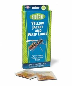 SpringStar Yellow Jacket Lures For Traps