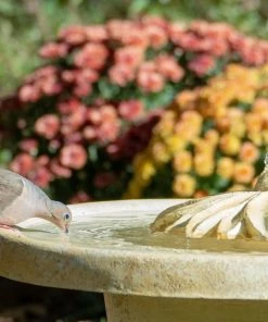 The Birdhouse Chick Bubbling Flower Birdbath Fountain