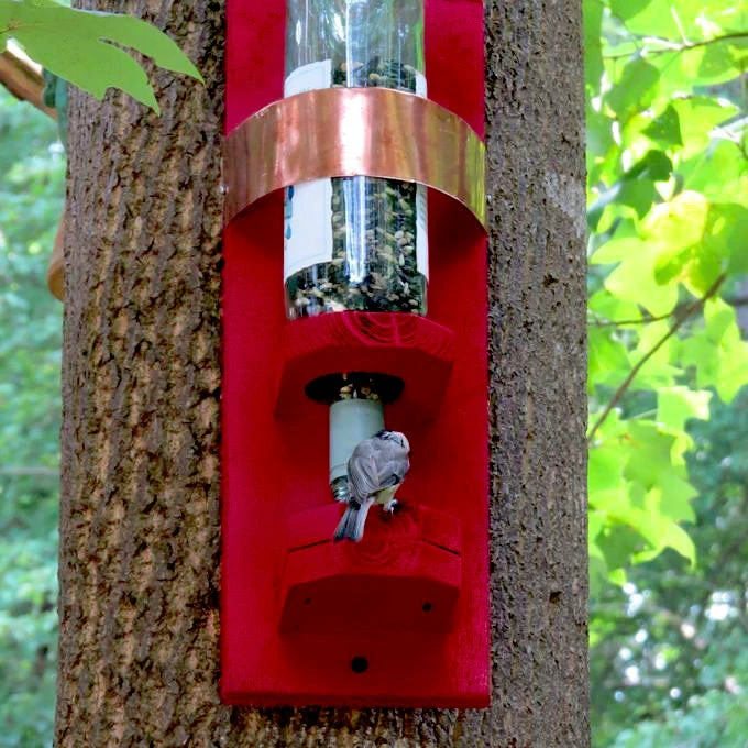 The Birdhouse Chick Bottle Bird Feeder