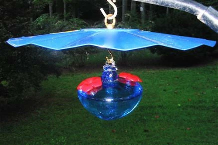 Erva 14-Inch Rain Or Shine Weather Guard-Cobalt Blue