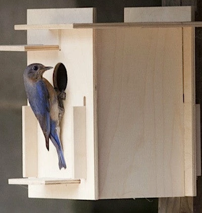 Box For Birds Birdhouse Kit- Modern Bluebird Houses