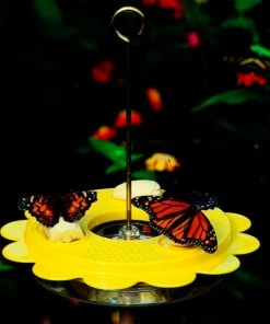 Birds Choice The Flutterby Butterfly Feeder Butterflies