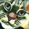 TileCraft Close-Up Ceramic Cat Tile-2 Sizes Plaques, Stepping Stones & Wall Decor