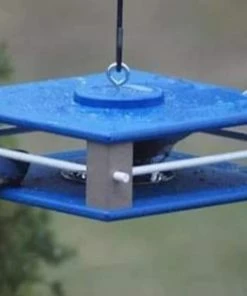 The Birdhouse Chick Recycled Birdhouses Gilbertson Hanging Bluebird Feeder