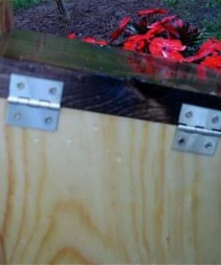 The Birdhouse Chick Unique Birdhouses Traditional Nest Box