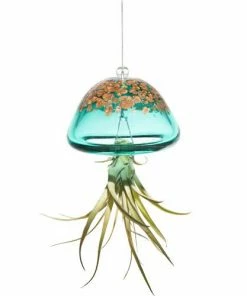 Kinsman Garden Company Jellyfish Air Plant Hangers Set/3