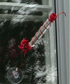 The Birdhouse Chick Hummingbird Feeders Charmer Hand-Held Hummingbird Feeder Set