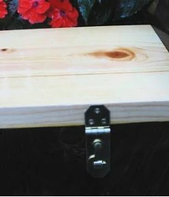 The Birdhouse Chick Unique Birdhouses Traditional Nest Box