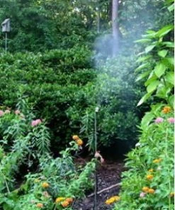 Birds Choice Leaf Mister For Butterflies, Hummingbirds & More