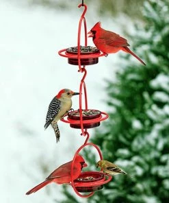 Couronne Red Orb With Perch Hummingbird Feeder