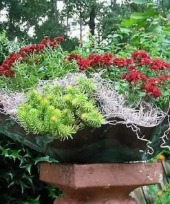 The Birdhouse Chick Deck & Ground Bird Baths Free-Form Copper Bird Bath/Planter